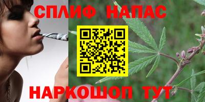МДПВ Можайск