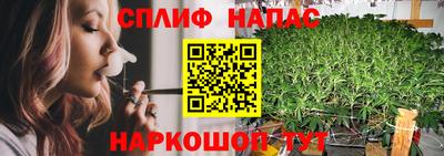 МДПВ Можайск