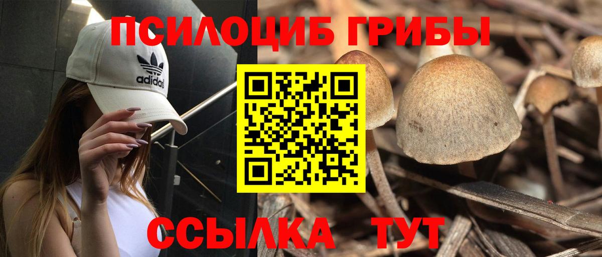Галлюциногенные грибы Cubensis  Галлюциногенные грибы прущие грибы  Вход с VPN  Учалы 