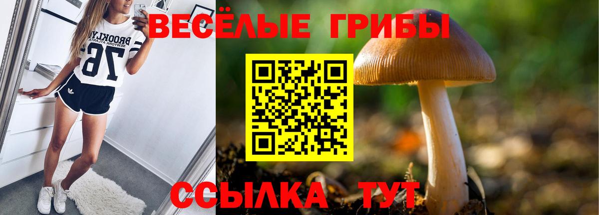 Псилоцибиновые грибы GOLDEN TEACHER Учалы